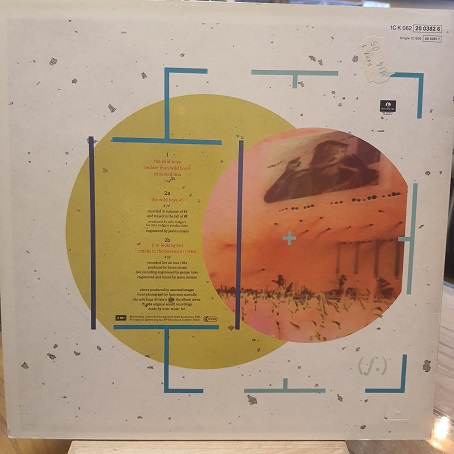 Duran Duran – The Wild Boys - Plak Maxi Single