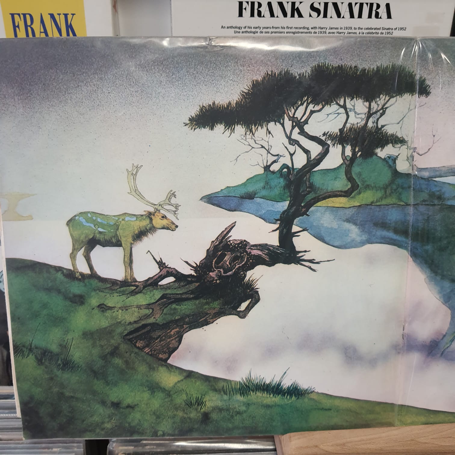YES - Yessongs - Plak 3LP